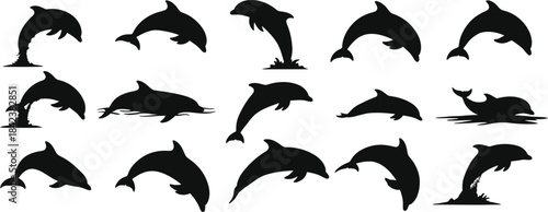 Collection of various dolphin silhouettes in different swimming positions