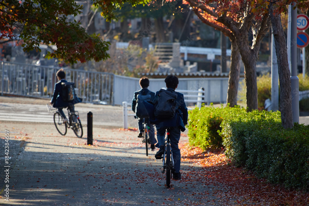 Naklejka premium 秋の公園で自転車を乗る通学中の高校生の姿と紅葉の風景