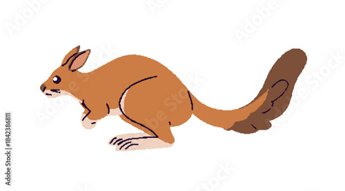South African springhare is jumping. Cute baby rodent with fluffy long tail. Little desert animal is hopping. Funny beast of wilderness. Flat isolated vector illustration on white background