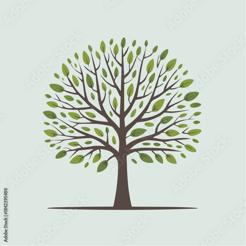 Vector tree growing new leaves with tiny buds appearing