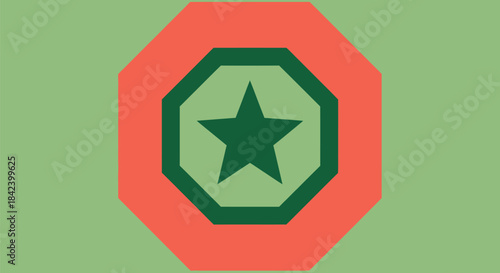 A nested octagonal design with a star, featuring color blocks on a pale green backdrop