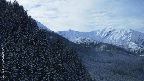 Rocks mountain peak snow winter coniferous forest Tatras Kaspravy up Poland