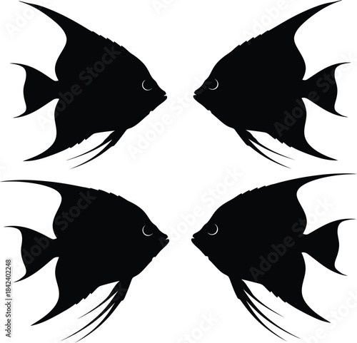 Angelfish silhouette set symmetrical aquatic illustration