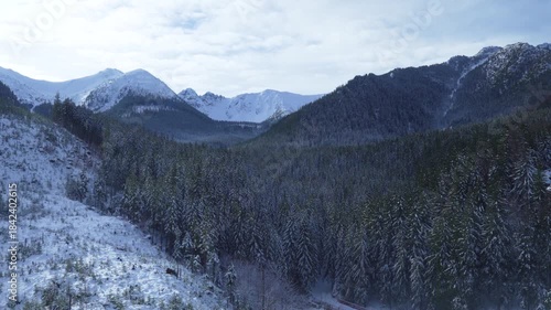 Rocks mountain peak snow winter coniferous forest Tatras Kaspravy up Poland