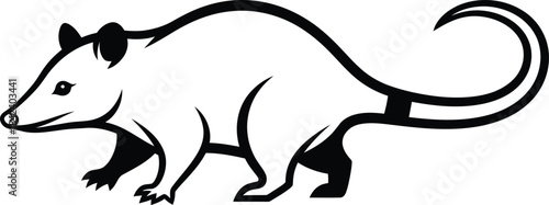 Opossum standing wildlife illustration vector