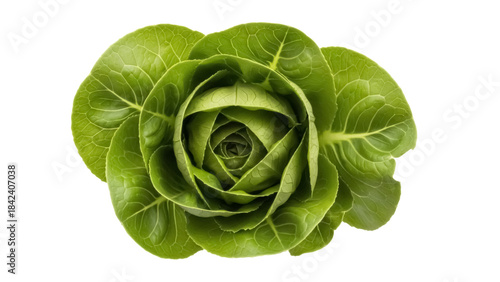 Bild auf Leinwand Fresh green butter lettuce isolated PNG, vibrant leafy vegetable for healthy eat
