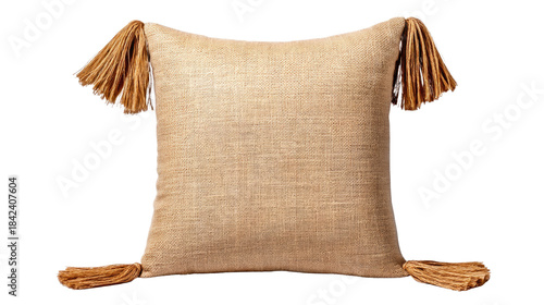 Textured decorative pillow with fringed tassels in natural tone