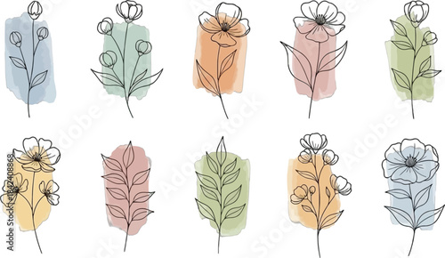 Collection of delicate floral line art with watercolor brush strokes isolated on transparent background