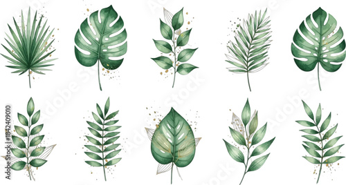 A collection of watercolor tropical leaves and foliage on transparent background