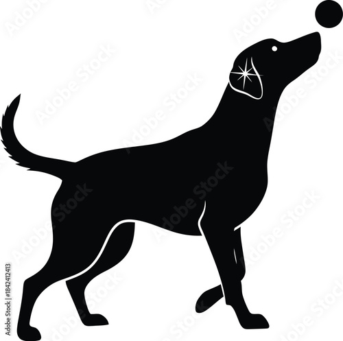 Dog playful silhouette with ball vector illustration