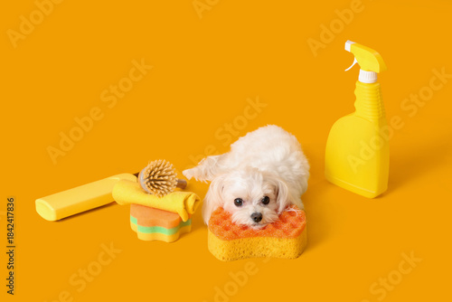 Cute dog with cleaning supp...