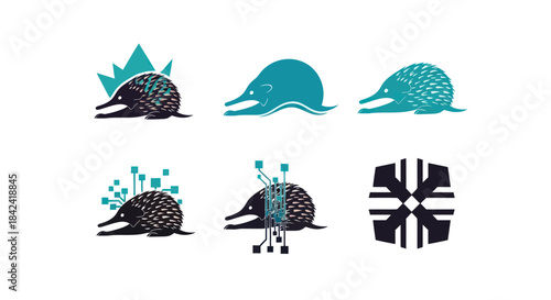 Six diverse illustrations of an echidna in various styles, some with tech elements