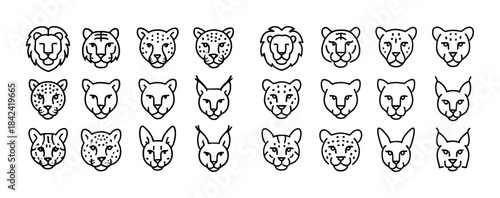 Set of big cat faces in outline style: lion, tiger, leopard, lyn