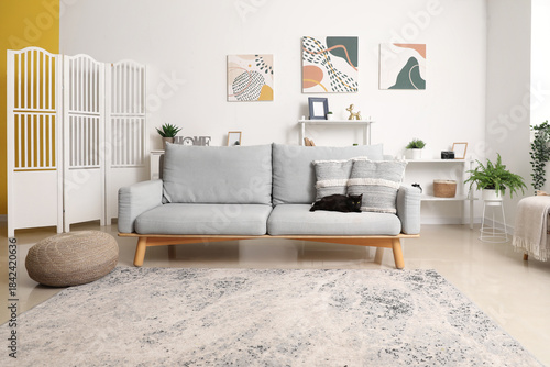 Cute black cat lying on sof...