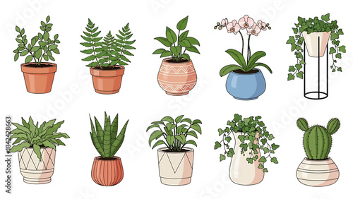Vibrant collection of potted indoor plants, including orchids, ferns, succulents, and trailing vines in stylish containers, perfect for home decor and botanical designs