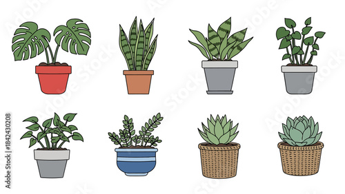 Diverse collection of popular indoor houseplants in decorative pots, featuring a variety of green foliage illustrations perfect for botanical home decor and garden themes