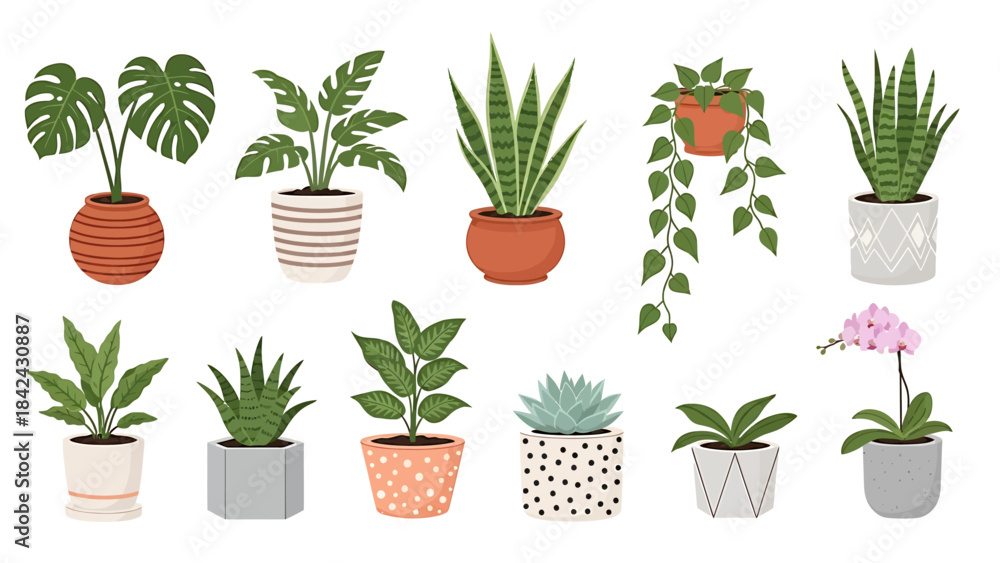 Fototapeta premium A vibrant collection of diverse potted houseplants, showcasing various popular indoor plants like Monstera, snake plants, and succulents, perfect for home decoration and green living spaces
