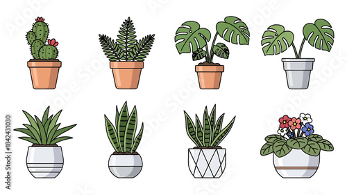 Set of eight potted houseplants, including succulents, cacti, and leafy varieties, perfect for interior decoration
