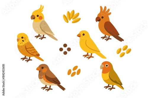 Collection of domestic pet birds including cockatiel, canary, lovebird, and finch with scattered seeds