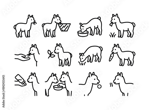 Alpaca Feeding Icons. Alpaca feeding. Line icon set of Alpaca fe