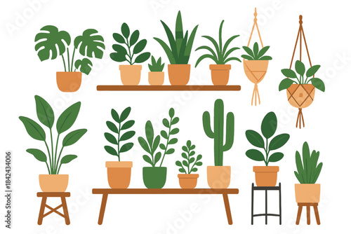 Popular indoor houseplants in terracotta pots and hanging macrame planters