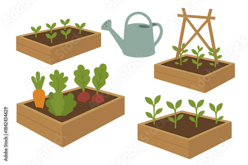 Wooden raised garden beds with various vegetable plants and a watering can for home farming