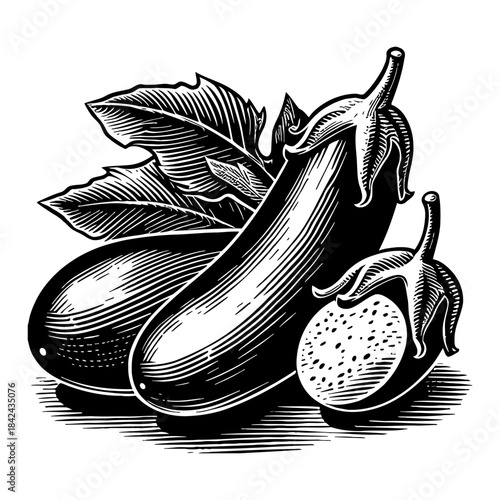 Vintage Engraving Style Illustration of Three Dark Purple Eggplants with Green Leaves and Stems on a Light Textured Background
