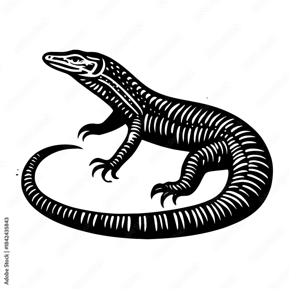 Fototapeta premium Vintage Style Illustration of a Black and White Lizard with Intricate Details