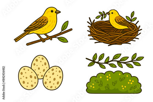 Bright yellow bird gathering twigs for its nest with speckled eggs nearby in a lush green setting