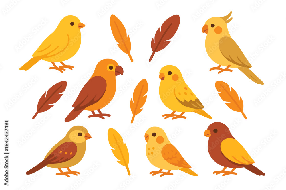 Fototapeta premium Colorful birds and feathers in a whimsical design showcasing various species in playful poses on a white background