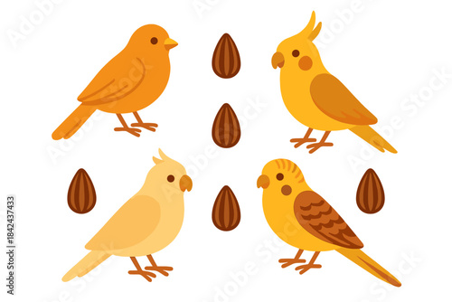 Colorful birds and seeds in a playful illustration showcasing their vibrant feathers and lively personalities