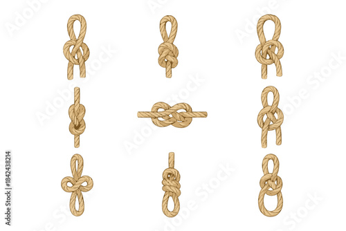 Various types of knots illustrated in a clean, clear layout for educational purposes in rope work and sailing techniques
