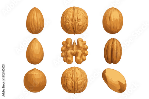 Variety of nuts displayed on a white background with focus on shapes and textures