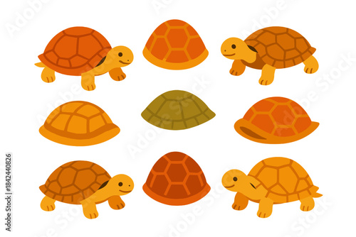 Colorful cartoon turtles and tortoises in various poses and shell styles on a white background
