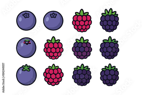 Colorful collection of blueberries, raspberries, and blackberries arranged in a neat grid on a white background
