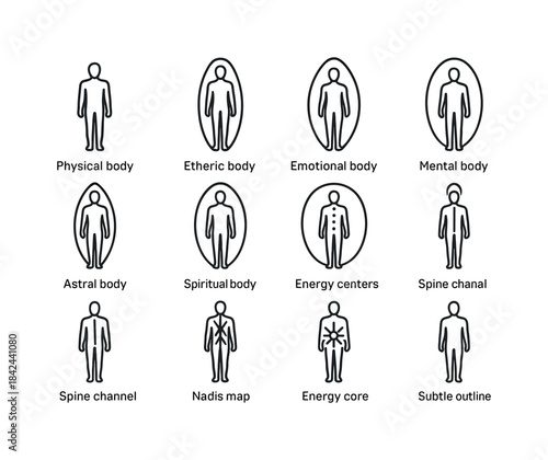 Subtle Anatomy Icons. Subtle body anatomy. Line icon set of subt