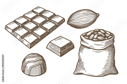 Vintage engraving style set of chocolate bar, cocoa beans, cocoa pod, and praline