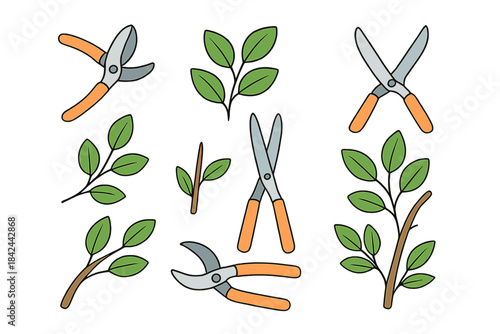 Garden tools and greenery illustrations display various pruning shears with branches and leaves in a vibrant design for gardening enthusiasts