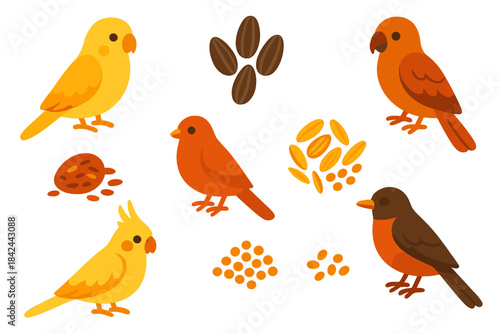 Colorful domestic pet birds including canaries and cockatiels with various feeding seeds