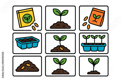 Steps to grow plants from seeds in a simple visual guide showing planting process and care essentials