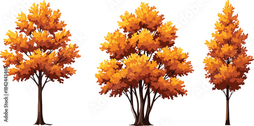 Vector Illustration of Autumn Trees with Golden Orange Foliage, Representing Fall Season, Nature, Landscape, and Seasonal Change Isolated on White Background.