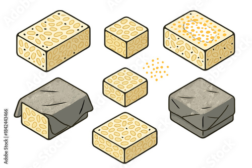 Different types of soy-based fermented food items shown in various shapes and sizes from traditional to modern preparations