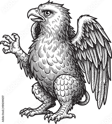 Antique etching style illustration of a griffin with detailed pl