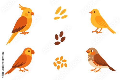 Colorful domestic pet birds collection including cockatiel, canary, finches, and seeds