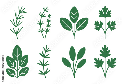 Eight green herb and leaf herbs leaves