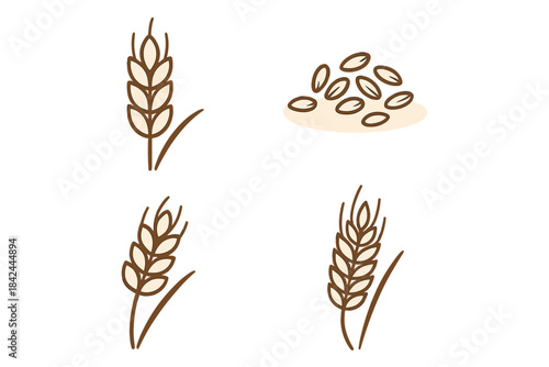 Illustrations of wheat stalks and grains showing stages of growth and harvesting in a simple, clean style