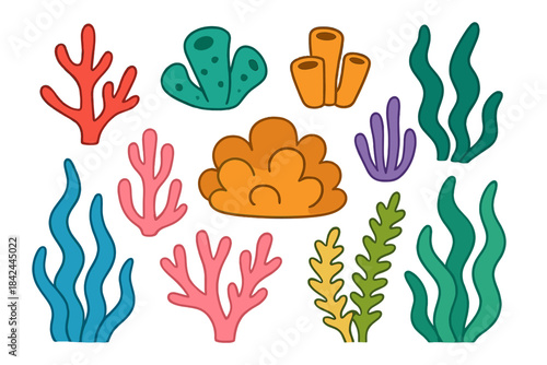 Colorful underwater life features various coral and seaweed types in a vibrant marine setting