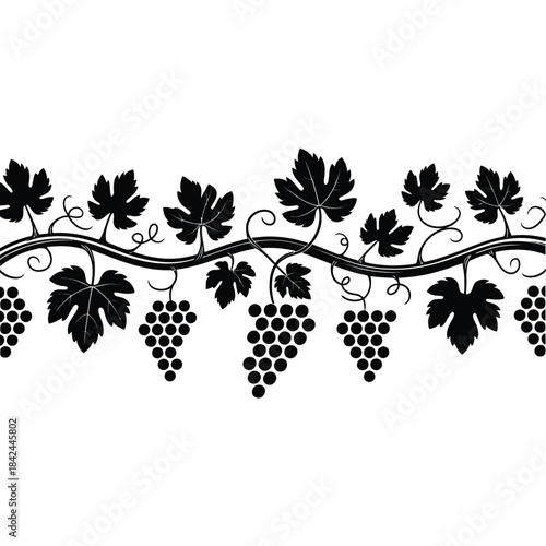 Elegant vine and grape design a black and white botanical illustration