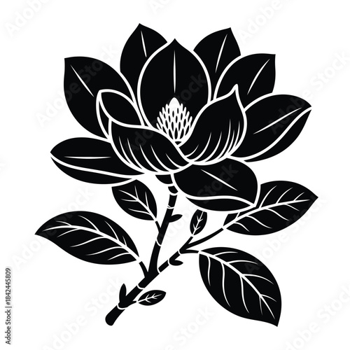 Elegant black and white illustration of a blooming magnolia flower with stem