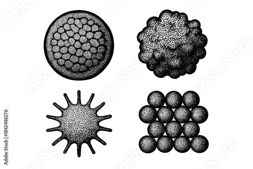 Four abstract microscopic cell structures in detailed scientific stipple art